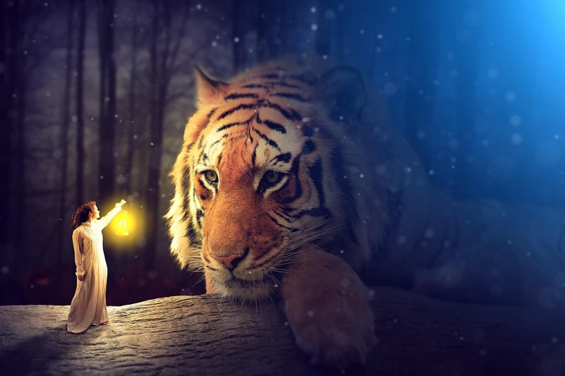 Enchanted Lanterns