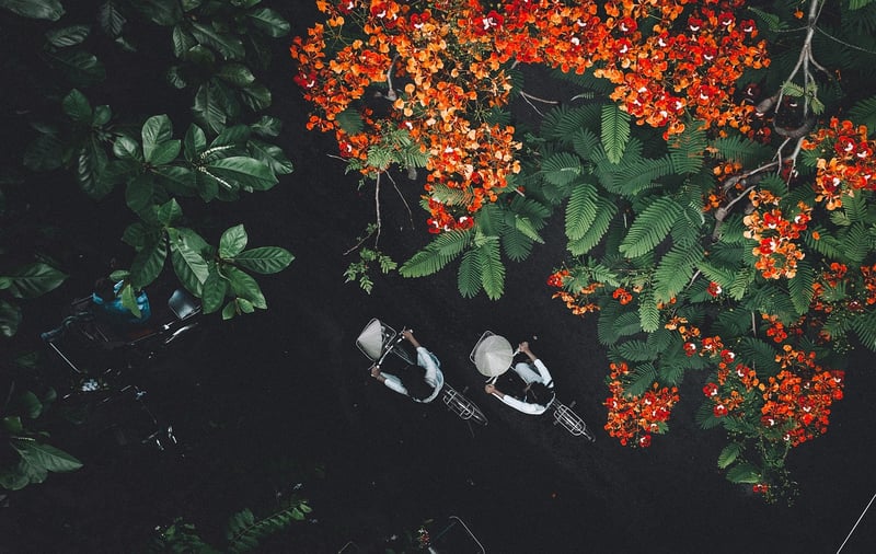 Aerial Acrobatics